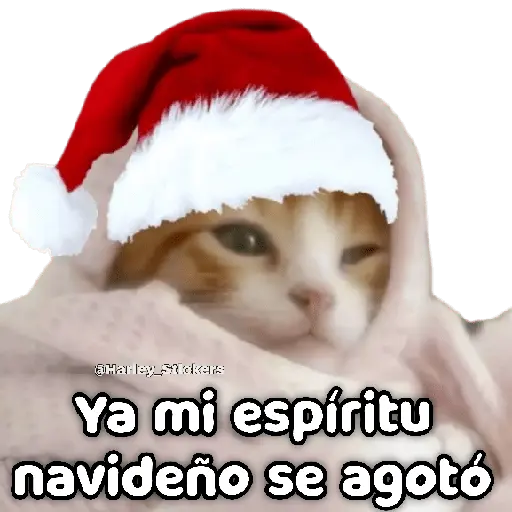 🎄🎁 NAVIDAD 🎁🎄😻 