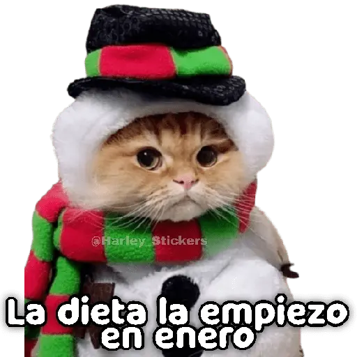 🎄🎁 NAVIDAD 🎁🎄😻 