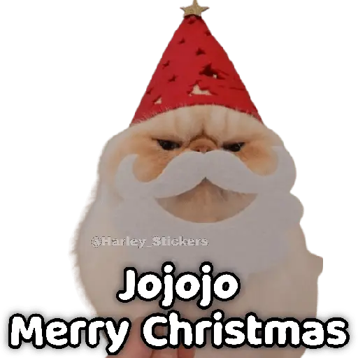 🎄🎁 NAVIDAD 🎁🎄😻 