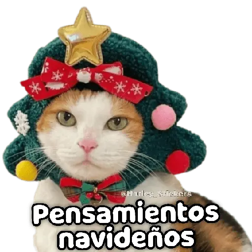 🎄🎁 NAVIDAD 🎁🎄😻 