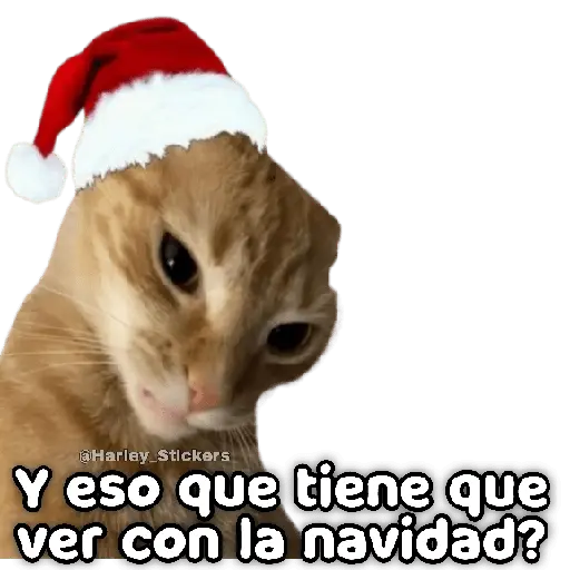 🎄🎁 NAVIDAD 🎁🎄😻 