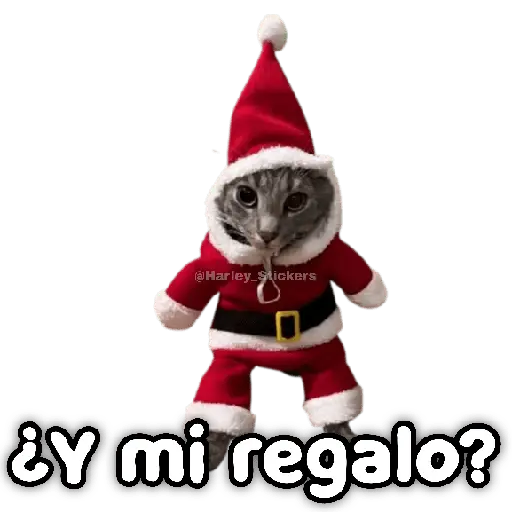 🎄🎁 NAVIDAD 🎁🎄😻 