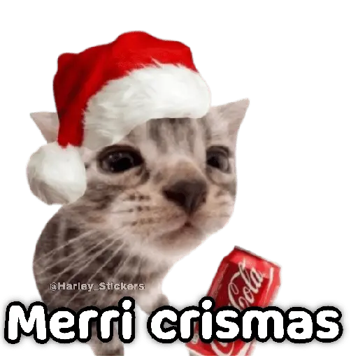 🎄🎁 NAVIDAD 🎁🎄😻 