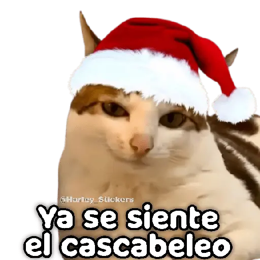 🎄🎁 NAVIDAD 🎁🎄😻 