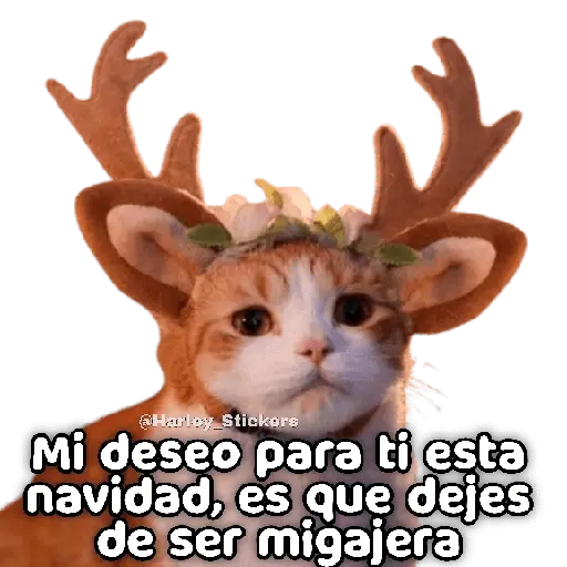 🎄🎁 NAVIDAD 🎁🎄😻 