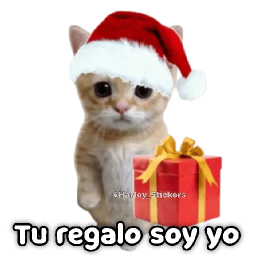 🎄🎁 NAVIDAD 🎁🎄😻 