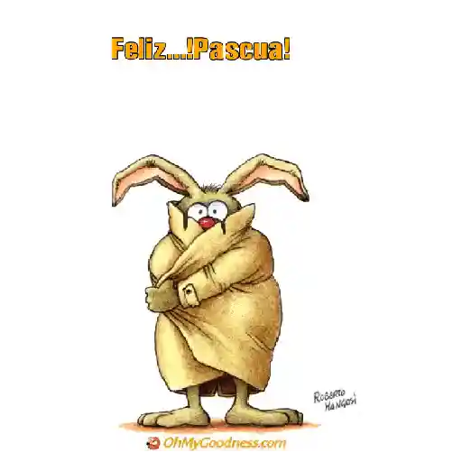 Felices Pascuas 🐰🐇🥳