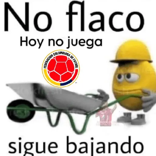 🇨🇴 Colombia Copa América ⚽