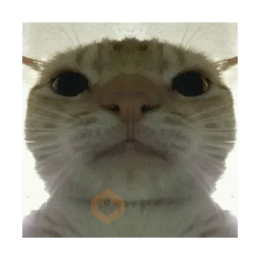 Gatos virales sticker 14