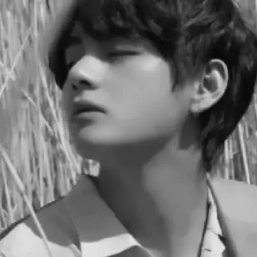 bts dark coquetos