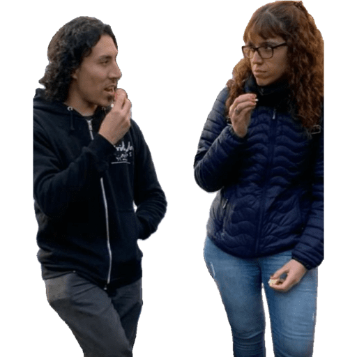 De todo preview