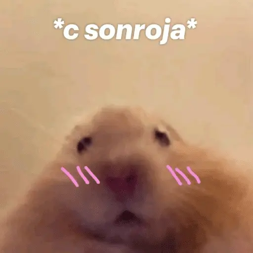 Memes lindos - San Valentin💕