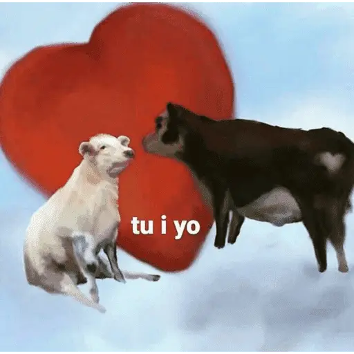 Memes lindos - San Valentin💕