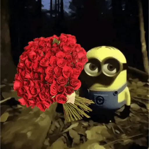 Memes lindos - San Valentin💕