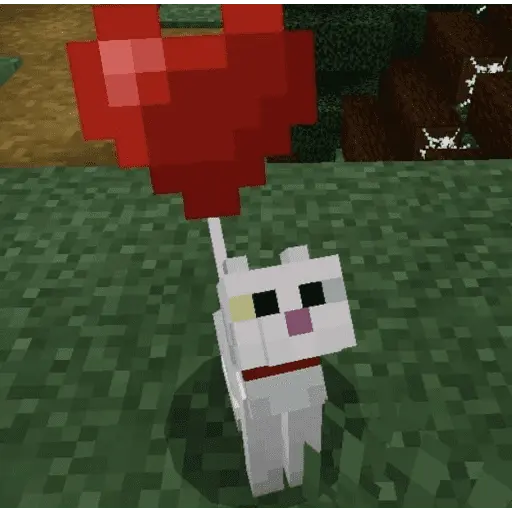 Memes lindos - San Valentin💕