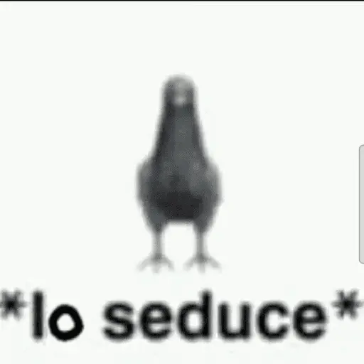 Memes lindos - San Valentin💕