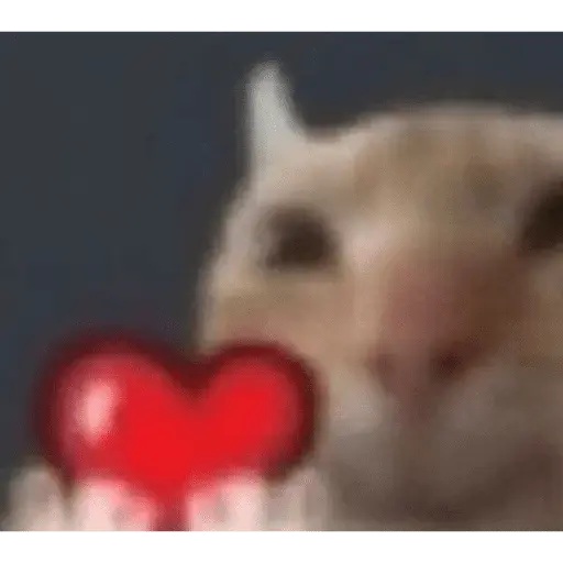 Memes lindos - San Valentin💕
