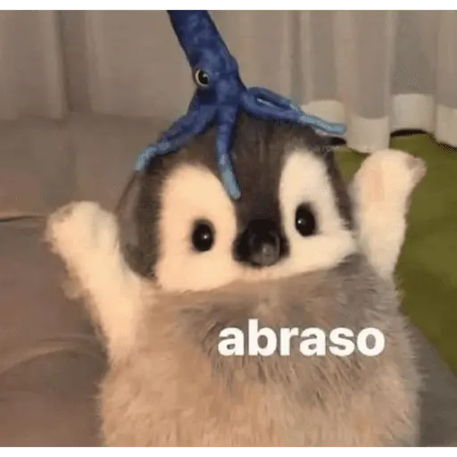 Memes lindos - San Valentin💕