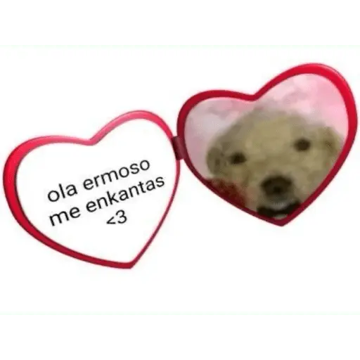 Memes lindos - San Valentin💕