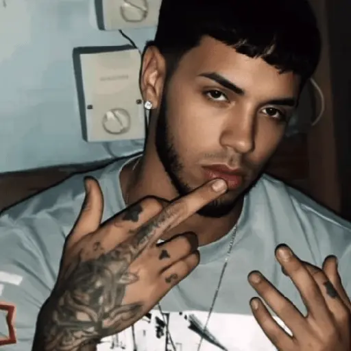 🎶🎙😎 ANUEL AA 😎🎙🎶