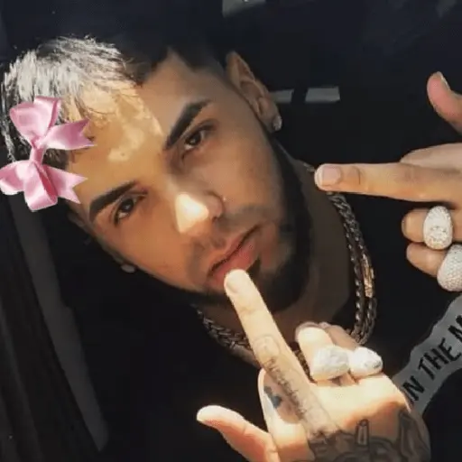 🎶🎙😎 ANUEL AA 😎🎙🎶
