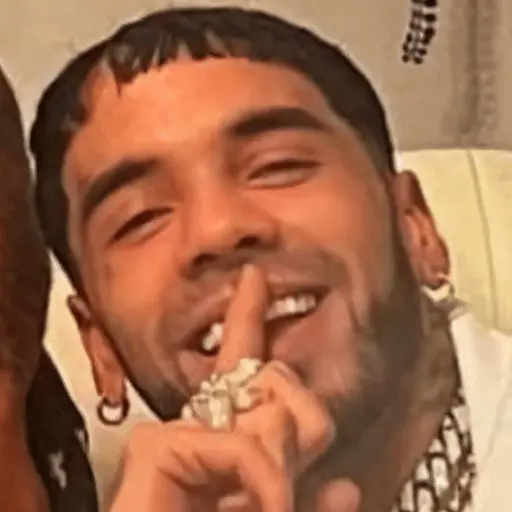🎶🎙😎 ANUEL AA 😎🎙🎶