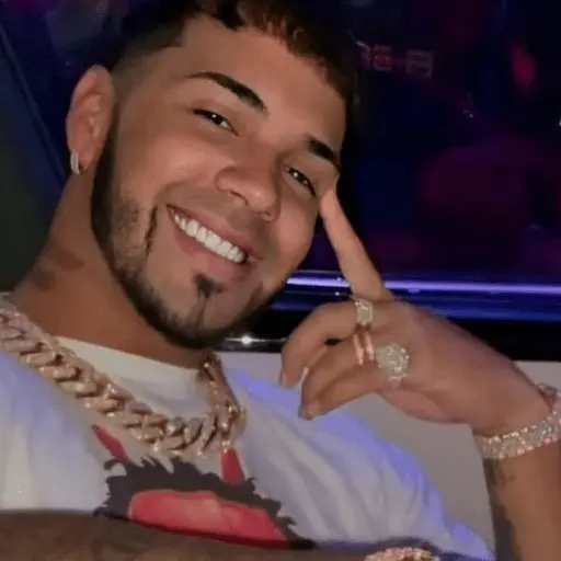 🎶🎙😎 ANUEL AA 😎🎙🎶