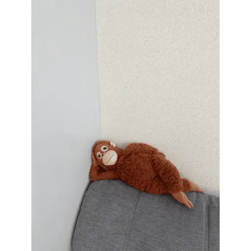Monito Punch - Mejor amigo 💛