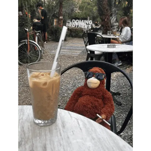 Monito Punch - Mejor amigo 💛