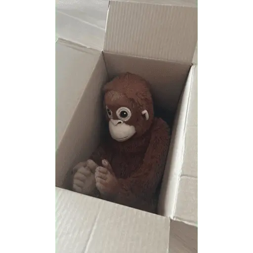 Monito Punch - Mejor amigo 💛