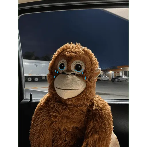 Monito Punch - Mejor amigo 💛