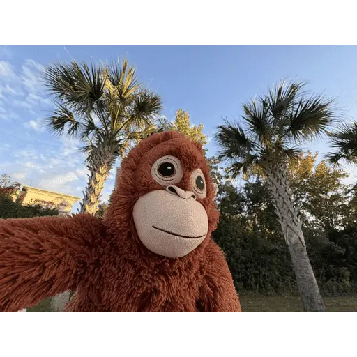 Monito Punch - Mejor amigo 💛
