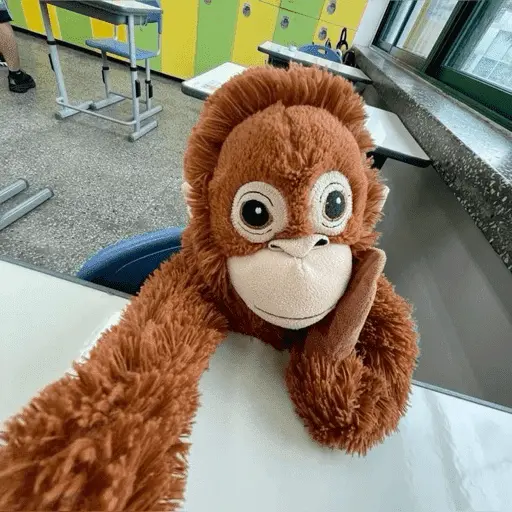 Monito Punch - Mejor amigo 💛