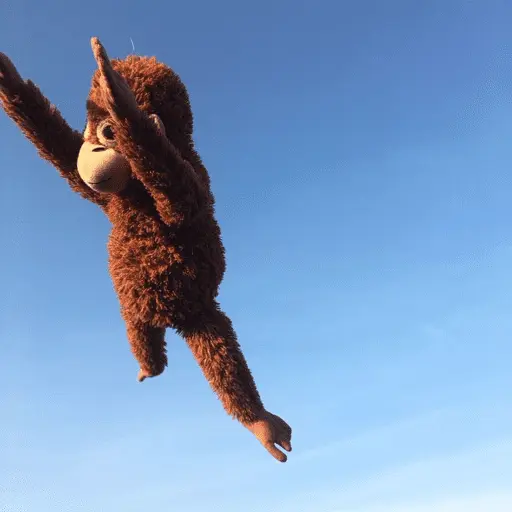 Monito Punch - Mejor amigo 💛
