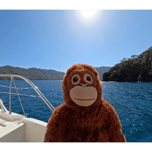 Monito Punch - Mejor amigo 💛