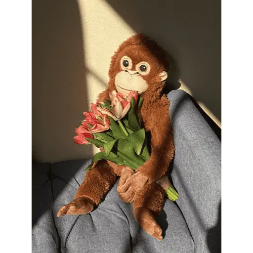 Monito Punch - Mejor amigo 💛
