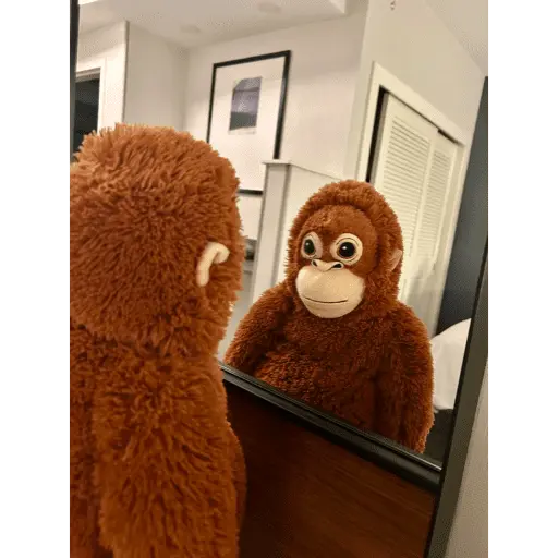 Monito Punch - Mejor amigo 💛
