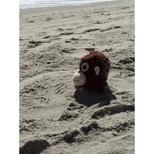 Monito Punch - Mejor amigo 💛