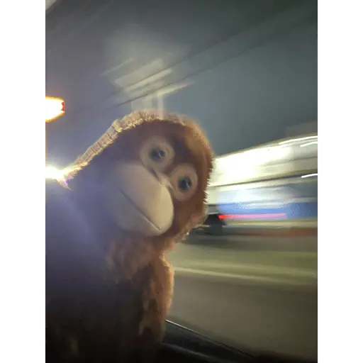 Monito Punch - Mejor amigo 💛