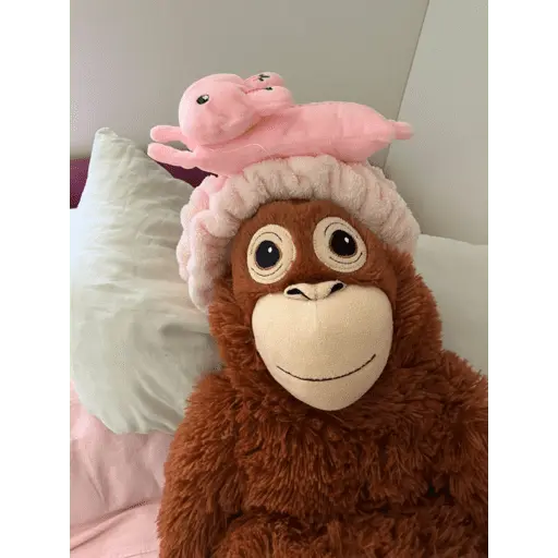 Monito Punch - Mejor amigo 💛