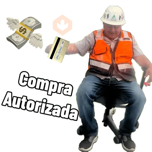 Pro sticker 14