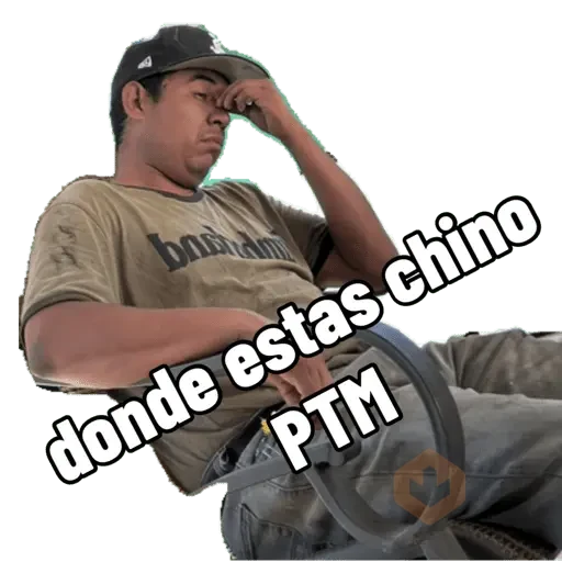 Pro sticker 16