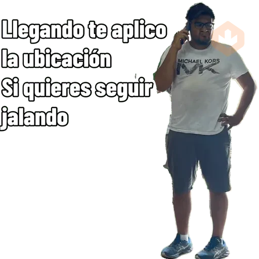 Pro sticker 27