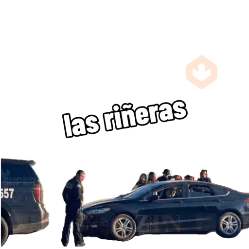 Pro sticker 18