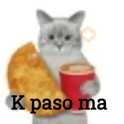 🐈🐈🐈 sticker 22