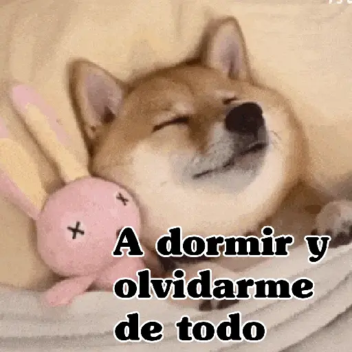🧿Memes pop 9 😎🤣🤭