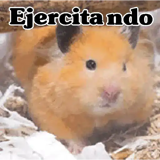 🧿Memes pop 9 😎🤣🤭