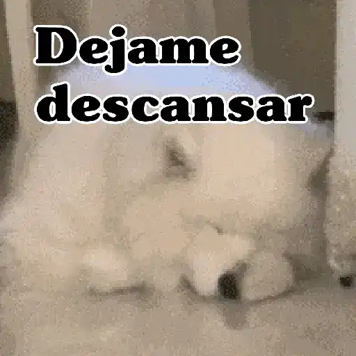 🧿Memes pop 9 😎🤣🤭