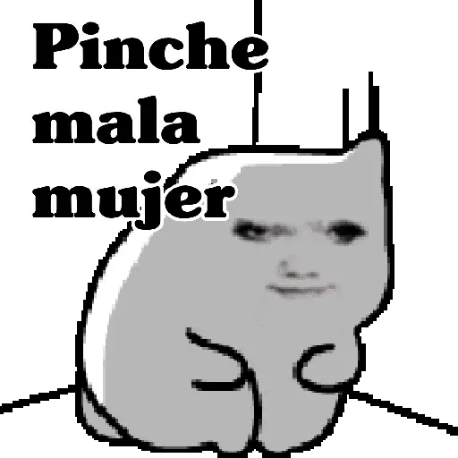 🧿Memes pop 9 😎🤣🤭