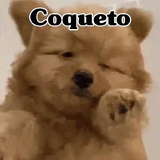 🧿Memes pop 9 😎🤣🤭